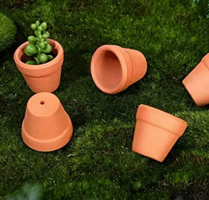 Mini Planters - set of 5